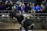 Brenson Bartlett_DSC1648