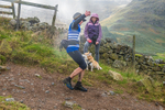 Langdale-2295