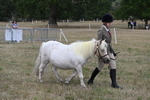 WJ6_6124