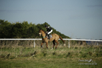 Hursley Hambledon Point-to-Point Larkhill 28/11/21 portfolio