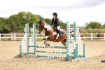SBM_001181