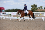 SBM_03817