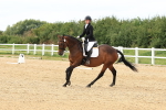 SBM_000582