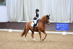 SBM_003935
