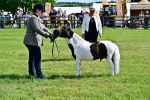 SBM_03443