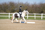 SBM_002011