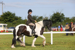 Stithians Show 2025 portfolio