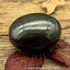 Polished Whitby Ammonite Nodule 032