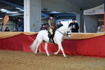 SBM_07775