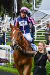 150524-Race 1-Crystal Delight-3675