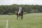 BVHT 140517  NXC -83