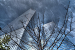 World Trade Center 2015