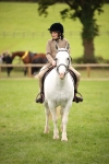 S67 - Show Cob Ridden portfolio