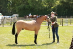 SBM_05583