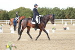 SBM_007311
