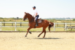 SBM_000558