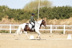 SBM_017454