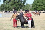 WJ6_8114