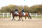 SBM_000176