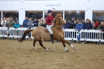 SBM_004144