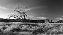 Black & White portfolio