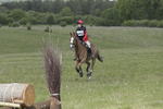 BVHT 140517  IXC -483