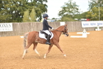SBM_03645