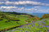 z2083 View over Luccombe