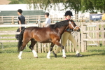 SBM_10305