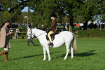 SBM_54045