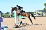 Cls 15-S Snr Foxhunter portfolio
