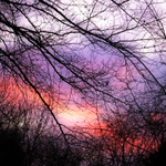 20th January Sunset Tapestry