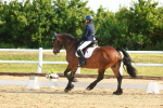 SBM_007039