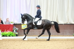 SBM_003930_Class 1 - M5