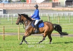 BPP_1241