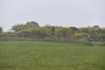 WJ5_7353