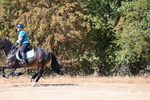 WJ6_8508