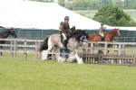 SBM_17633