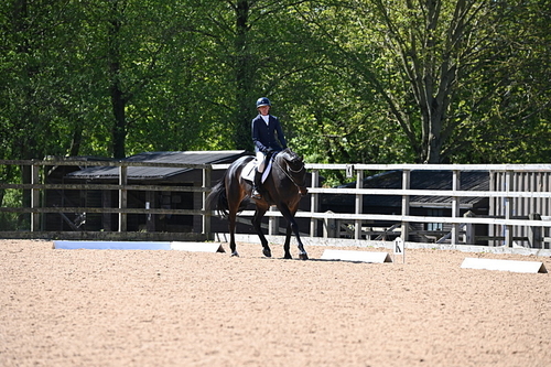 WJ6_8884
