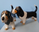 Basset Hound