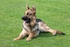 KJS_8975 (RM)
