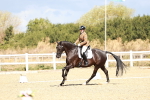 SBM_003601