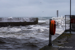 Looking Swell at Annalong Harbour