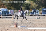BPP_9449