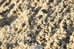 251004A-092410-00157