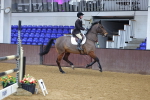 SBM_008639