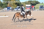 BPP_8346