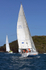 Bandos DSC_0212