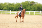 SBM_005203