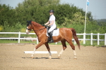 SBM_007978